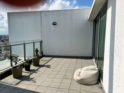 Coralis (D15), Condominium #559930221